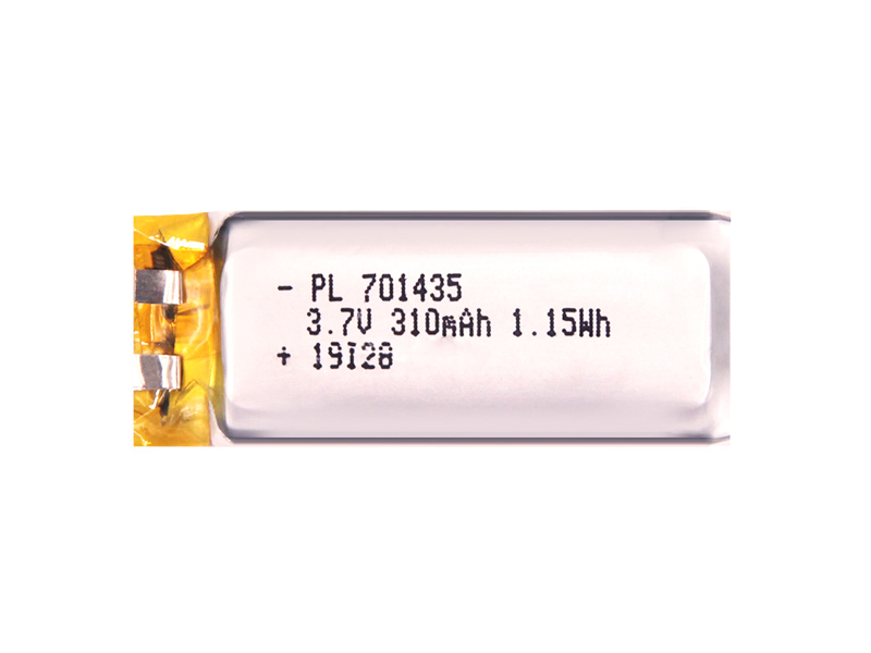 Li-polymer battery